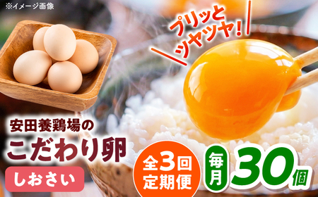 [全3回定期便]たまご 30個入り [AKHN008]たまご