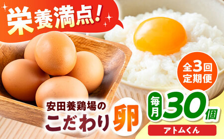 [全3回定期便]安田養鶏場の卵 アトムくん 30個入り 横須賀市 産地直送 割れ保証付き たまご 黄身 濃厚 卵 玉子 タマゴ 鶏卵 [安田養鶏場][AKHN009]