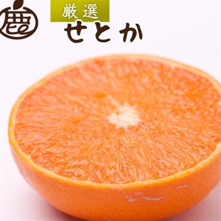 厳選 せとか1kg+250g(傷み補償分)[柑橘・春みかんの王様][光センサー選果・食べ頃出荷][配送不可地域:離島・北海道・沖縄県]