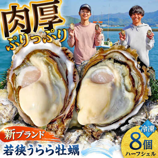若狭うらら牡蠣 ハーフシェル 8個 生食可 / かき カキ 海鮮 小浜市 / 小浜海産物 【配送不可地域：北海道・沖縄・離島】[BFAA099]