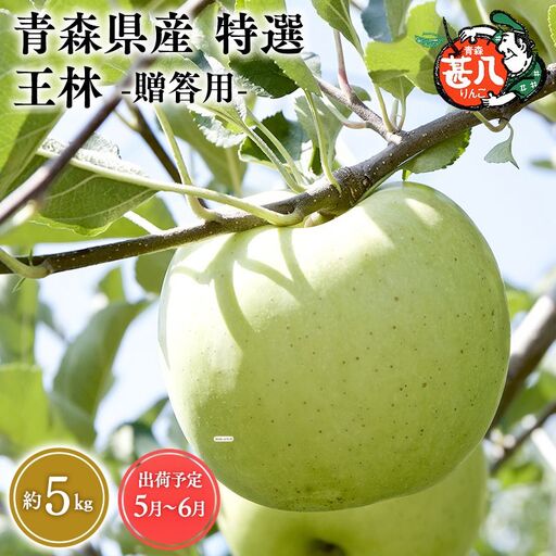 りんご 特選  王林 5kg クール便【hi-0058-059-0506】