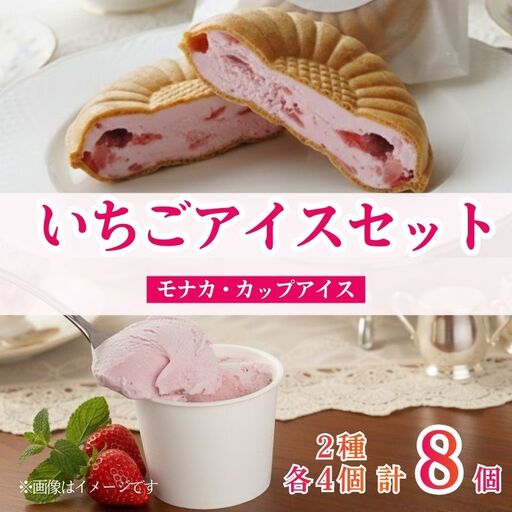 いちごのアイスセット 2種 計8個 いちご もなか アイス