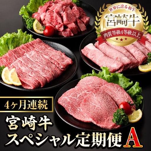 [定期便・全4回(連続)]宮崎牛スペシャル定期便A 黒毛和牛 冷凍 国産[YM-17][YAMATO株式会社]