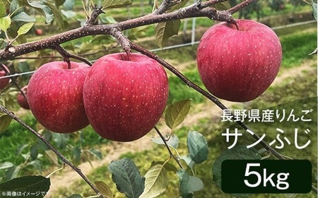 2408 長野県産りんご「サンふじ」5kg