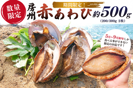 【2026年5月～9月初旬発送予定】【数量限定】房州 赤あわび 約500g (200/300g × 2枚) mi0020-0011