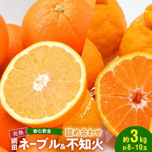 村田果樹園 網田ネーブルと不知火の詰め合わせ 約3kg 