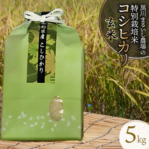【令和7年産】 黒川まるいし農場の特別栽培米コシヒカリ玄米　5kg 　山形県鶴岡市産　K-734　| こしひかり 5キロ 米どころ 庄内米 ブランド米 米 コメ こめ 玄米 ご飯 ごはん 美味しい お取り寄せ 農家直送 東北 国産 おすすめ 人気 返礼品