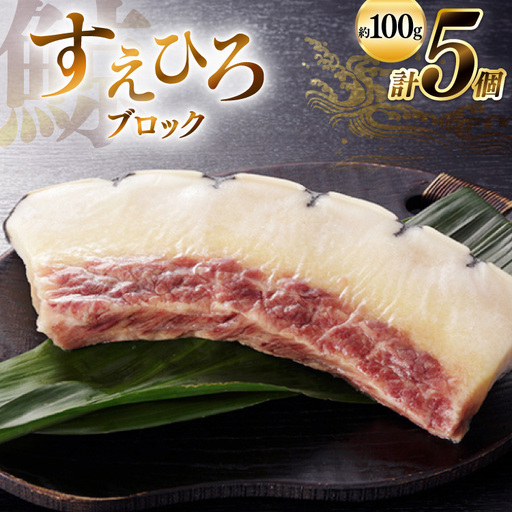 BJ144 すえひろ ブロック 100g×5個セット 計500g