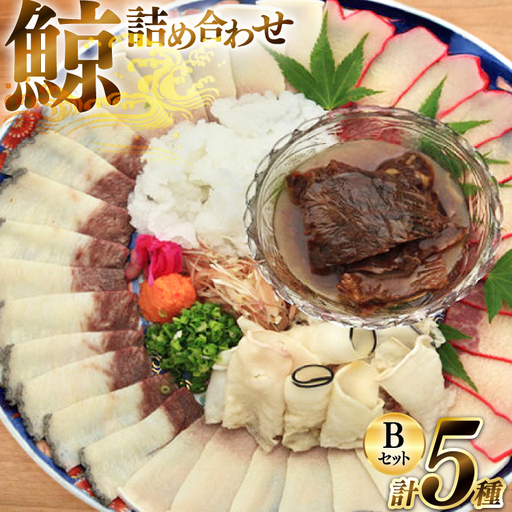美味しい 鯨 5種詰め合わせBセット 計520g( 大和煮 オバ ベーコンスライス 湯かけくじら さえずりスライス )