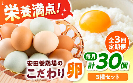 【全3回定期便】安田養鶏場の卵 3種セット しおさい アトムくん タフラン 30個入り（各10個入り） 横須賀市 産地直送 割れ保証付き たまご 黄身 濃厚 卵 玉子 タマゴ 鶏卵 【安田養鶏場】[AKHN011]