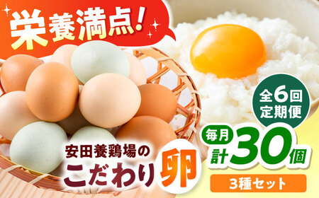 [全6回定期便]安田養鶏場の卵 3種セット 各10個 卵[AKHN012]