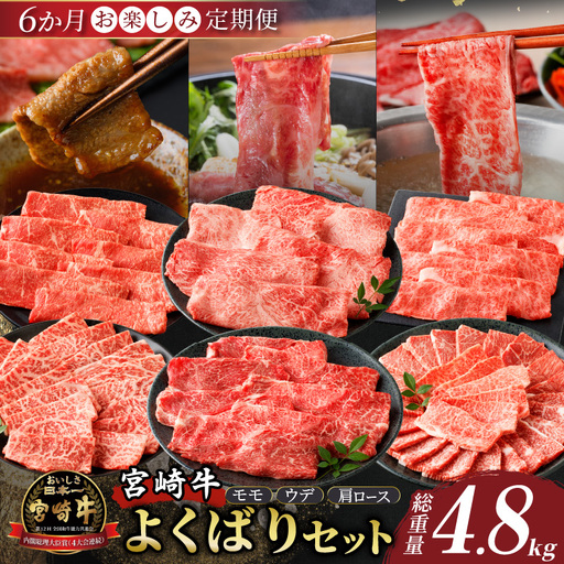 6か月お楽しみ定期便『宮崎牛よくばりセット』総重量4.8kg 肉 牛 牛肉 おかず 国産_T030-1846