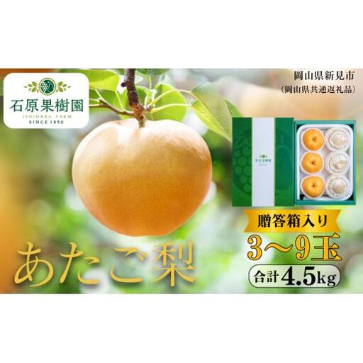 あたご梨 4.5kg 贈答箱 赤秀3〜9玉 [先行予約 2026年11月中旬から順次発送]