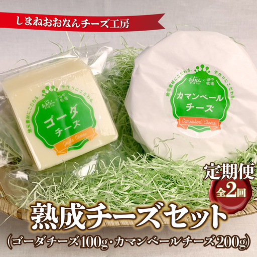 [定期便2回]熟成チーズセット( ゴーダチーズ100g・カマンベールチーズ200g)