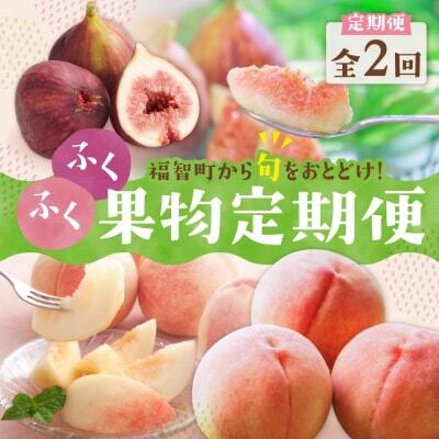 Z99-83 寄附額改定↓↓ 【2026年発送】 ★先行予約受付開始★ ふくふく果実定期便(隔月・年2回)  フルーツ