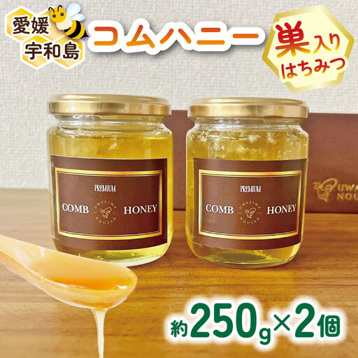 巣蜜 コムハニー 250g × 2個 セット 宇和島農産 ハニー F018-132012