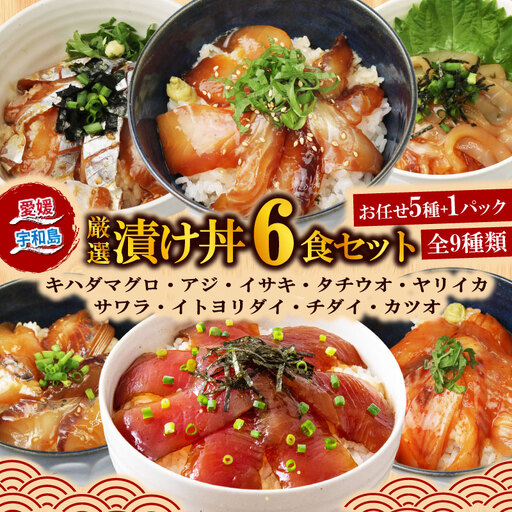 海鮮丼 天然 マグロ 等 6食 南予ビージョイ 海鮮丼