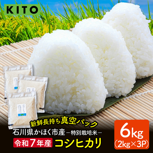 【令和7年産】こしひかり 6kg（2kg × 3袋）|  コシヒカリ お米