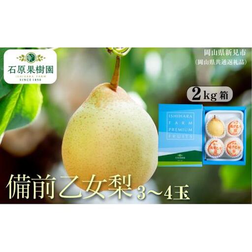 備前乙女梨 2kg箱 赤秀 3〜4玉入り [先行予約 2026年11月中旬から順次発送]
