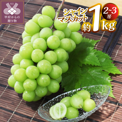 【2026年度配送分】甲府市産　シャインマスカット　約1.0kg（2～3房）