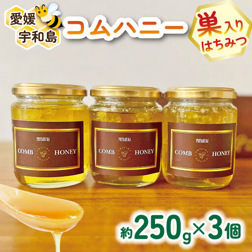 巣蜜 コムハニー 250g × 3個 セット 宇和島農産 ハニー F025-132013