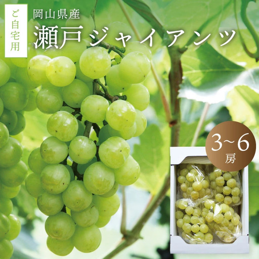 ぶどう 岡山県真庭市産 瀬戸ジャイアンツ自宅用ぶどう3〜6房 [jujy010-02]