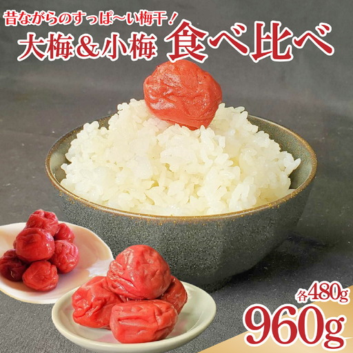 梅干 大梅 小梅 各480g