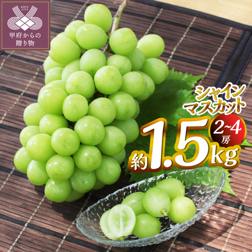 【2026年度配送分】甲府市産　シャインマスカット　約1.5kg（2～4房）