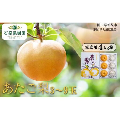 家庭用 あたご梨 4kg箱 青秀 3〜9玉 [先行予約 2026年11月中旬から順次発送]