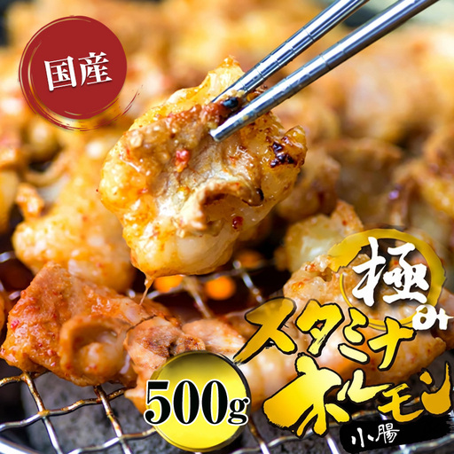 国産 極みのスタミナホルモン 小腸 タレ揉み 500g : ホルモン 国産ホルモン