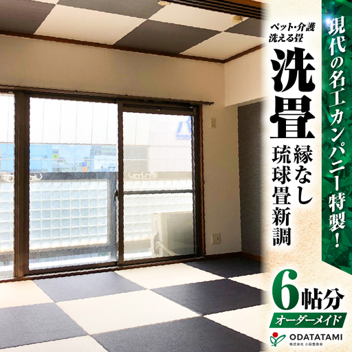 現代の名工カンパニー特製！ ペット・介護洗える畳 『 洗畳 』 縁無琉球畳 新調 6帖サイズ （ 畳 半帖サイズ 12枚 ） K348-014