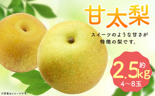 【2026年9月上旬より10月上旬迄順次発送予定】 毎床さんちのあまーい甘太梨 約2.5kg （ 4-8玉 ） 梨 フルーツ