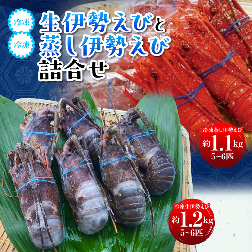 冷凍生伊勢えびと冷凍蒸し伊勢えび詰合せ ONJA022
