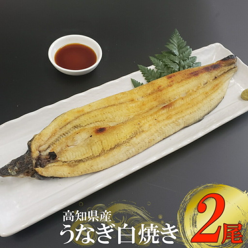 高知県産うなぎ 白焼き 2尾（約170g） 白焼き yj035