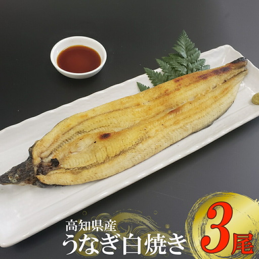 高知県産うなぎ 白焼き 3尾（約170g） 白焼き yj036