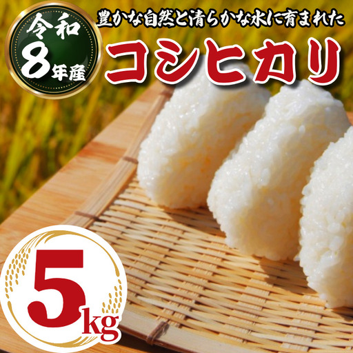【2026年9月発送】令和8年産 米 コシヒカリ 5kg 先行予約 新米 こしひかり 白米