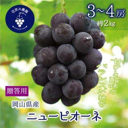 岡山　花笑み農園の『ニューピオーネ』贈答用　約2kg (3～4房) P-2上【配送不可地域：離島】【1650734】