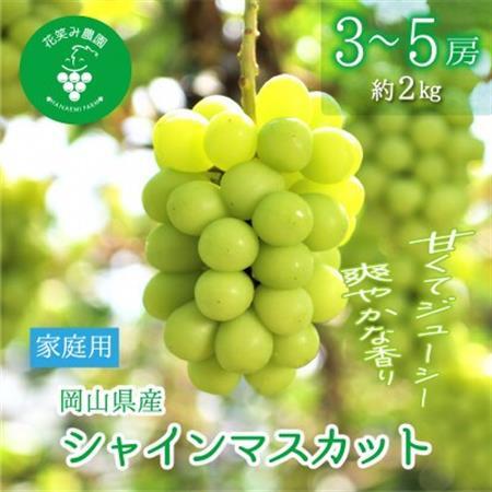 岡山 花笑み農園の『シャインマスカット』家庭用 約2kg (3〜5房) S-2家[配送不可地域:離島]
