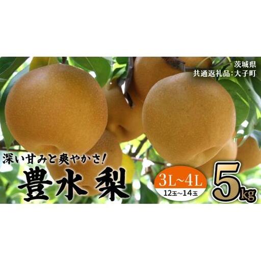 茨城県産 梨 豊水 サイズ おまかせ （ 3L～4L ） 5kg （ 12～14玉 ） 【2026年9月上旬発送開始】 (茨城県共通返礼品：大子町)