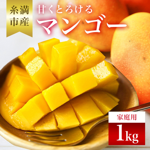 [先行予約 2027年 発送]かねよしマンゴーの甘くとろける マンゴー 1kg 家庭用 沖縄県産 アップルマンゴー アーウィン 国産 完熟 果物 南国 くだもの フルーツ 完熟 夏 旬 特産品 沖縄 お取り寄せ お土産 甘い 濃厚 糸満市 93-9