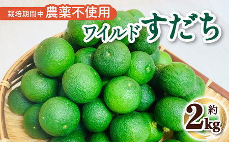先行予約 訳あり すだち 約2kg 数量限定 スダチ 酢橘 ワイルドすだち 徳島県産 栽培期間中農薬不使用 [2026年9月中旬〜10月中旬発送]