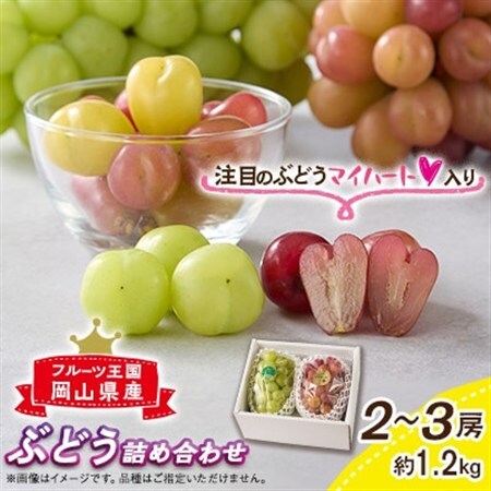 【2027年先行受付】フルーツ王国岡山シャインの娘マイハート入り!ぶどう1.2kg詰め合わせ【配送不可地域：離島】【1647724】