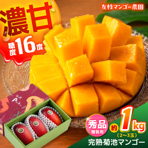 【2027年6月上旬から順次発送】菊池マンゴー約1kg マンゴー AYDF003