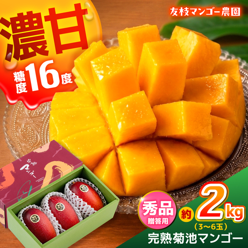 【2027年6月上旬から順次発送】秀品 菊池マンゴー約2kg 友枝マンゴー農園[AYDF004]