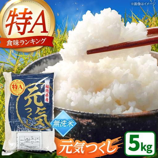 【先行予約】【令和7年産】元気つくし 無洗米 5kg [BGAA091] 元気つくし 無洗米 5キロ
