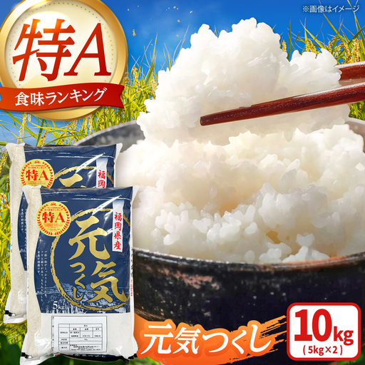 【先行予約】【令和7年産】元気つくし白米10kg(5kg×2袋) [BGAA092] 元気つくし 10キロ