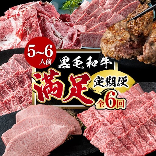 【定期便全6回】＜A4・A5等級＞黒毛和牛堪能〈満足〉定期便（5～6人分）総重量3.9kg 鹿児島県産 黒毛和牛 和牛 肉 牛肉 国産 九州産 鹿児島県産 焼肉 焼き肉 BBQ A4 A5 赤身 切り落とし カルビ お楽しみ 食べ比べ ハンバーグ ミスジ 霜降り ステーキ 5人前 6人前 t0118-002