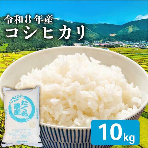 令和8年産 新米 こしひかり 10kg 新米