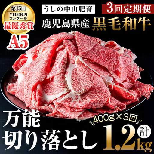 【定期便全3回】＜A4・A5等級＞黒毛和牛堪万能切り落とし肉 計1.2kg（400g×1P・全3回） 黒毛和牛 和牛 切り落とし 肉 牛肉 国産 九州産 鹿児島県産 すき焼き しゃぶしゃぶ 牛丼 小分け A5 日本一 ランキング 人気 定期便 t0039-005