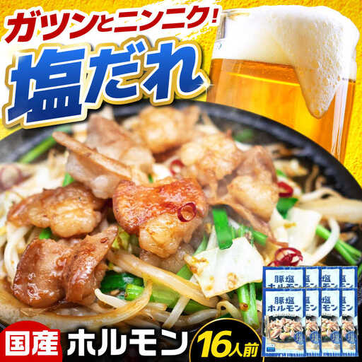 岐阜県産豚もつの鉄板焼き「元祖みたけとんちゃん」豚塩味（16人前）[AVAA046]ホルモン 塩味